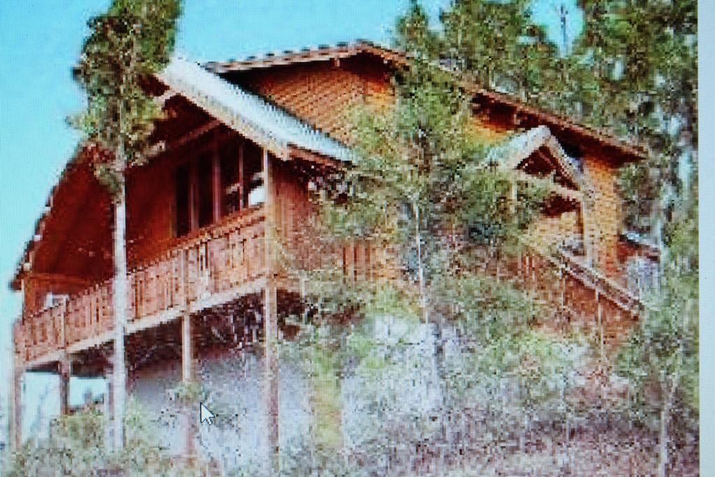 Knotty By Nature Gatlinburg Exterior photo